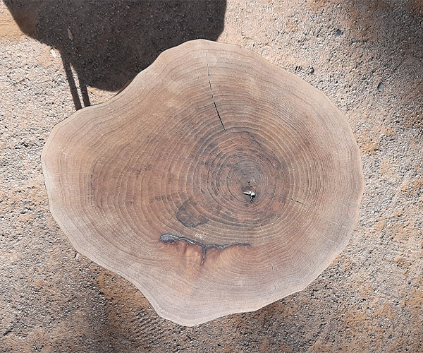 Blackshadow-3---600x500