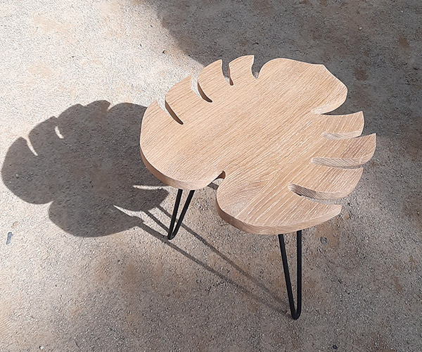 Monstera-1---600x500