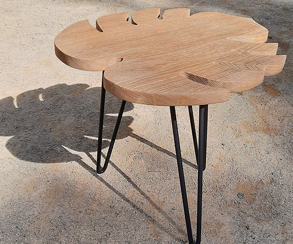 Monstera-2---600x500