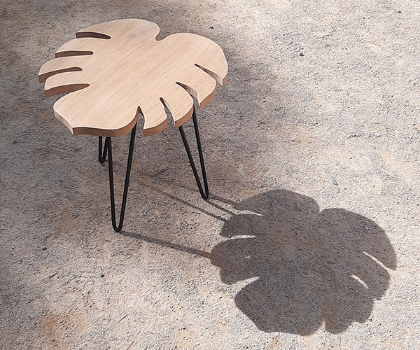 Monstera-3---600x500