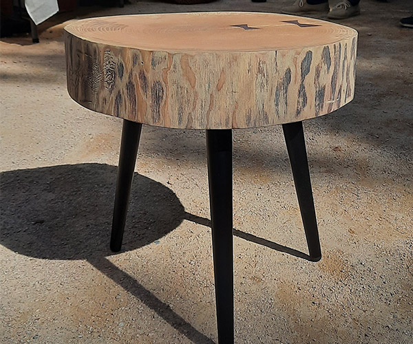 Papillon-1---600x500