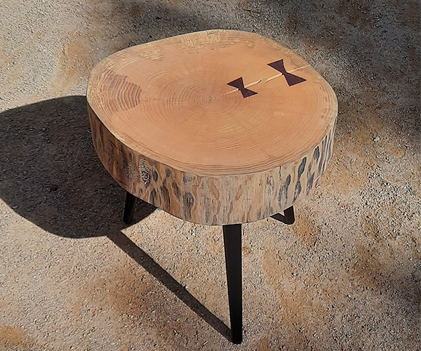 Papillon-2---600x500