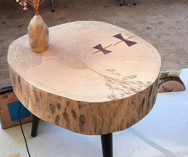 Papillon-3---600x500