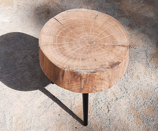 petite-chene-1---600x500