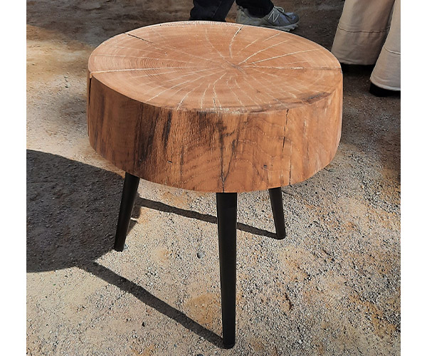 petite-chene-2---600x500